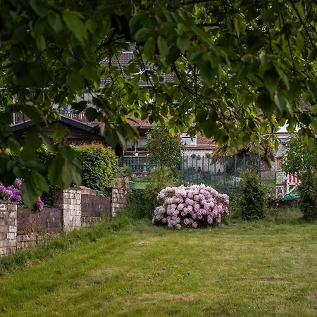 Coal Street By Loftigo - Large House With Garden Oasis Lägenhet Ubach-Palenberg